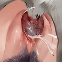 สติกเกอร์