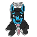 ස්ටිකර්