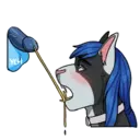 ස්ටිකර්