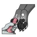 ස්ටිකර්