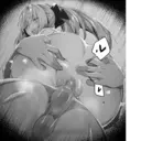 స్టికర్