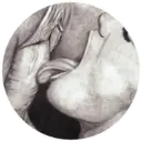 స్టికర్