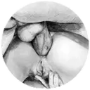 స్టికర్