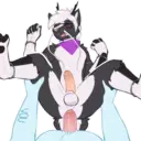 ස්ටිකර්