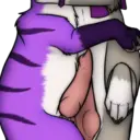 ස්ටිකර්