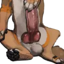 ස්ටිකර්