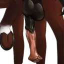 ස්ටිකර්