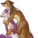 ස්ටිකර්