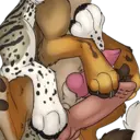 ස්ටිකර්