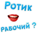 sticker