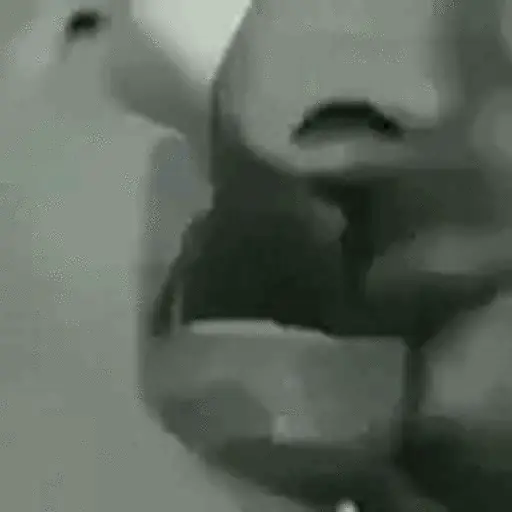 ස්ටිකර්