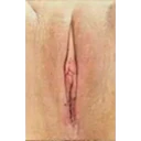 สติกเกอร์