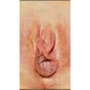 สติกเกอร์