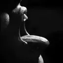 স্টিকার